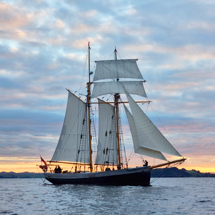 R Tucker Thompson | Fullers Bay of Islands | Sailing the Bay of Islands 