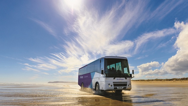 cape reinga bus tours from paihia